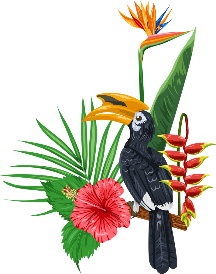 Hornbill and tropical plants illustration